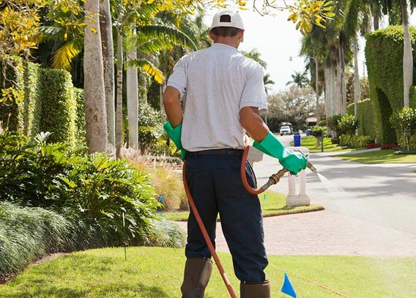 About Black Diamond WA Pest Control